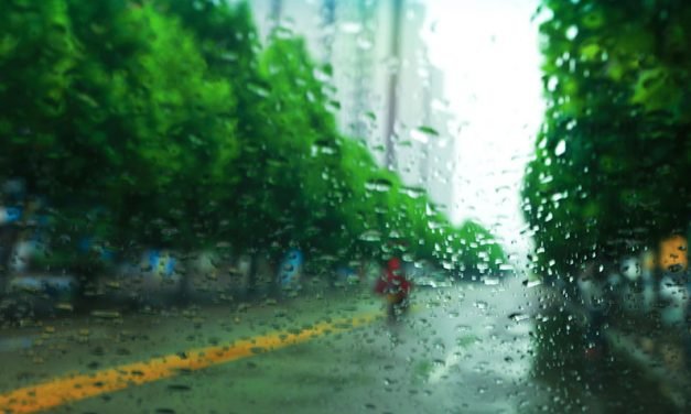 细雨的中秋