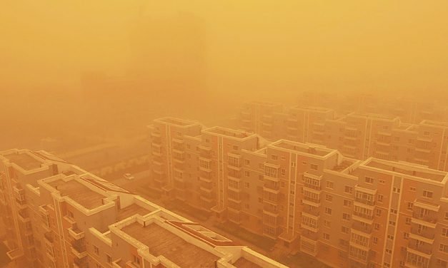 又见风沙
