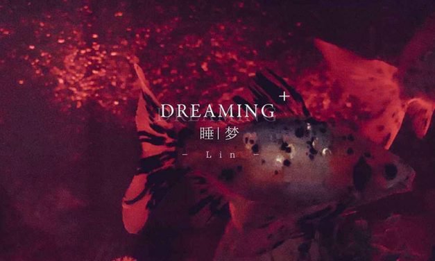 如果这个清晨我未能醒来