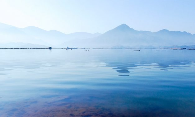 我看见你的面前有条河流