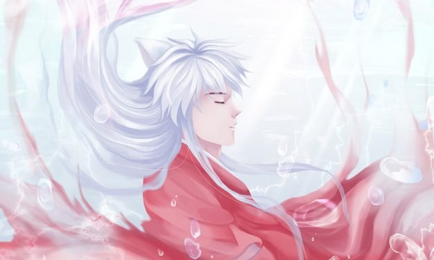 大龄记忆 犬夜叉