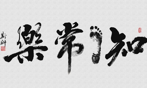 聊胜于无
