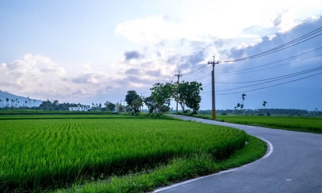 玩台之骑行花莲