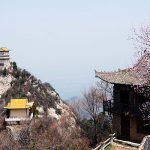 醉心的苦行