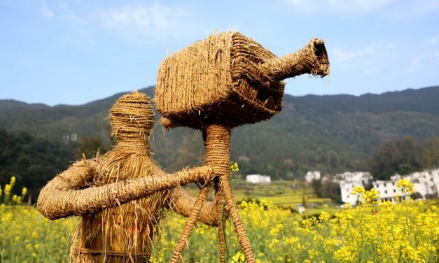 婺源油菜花开
