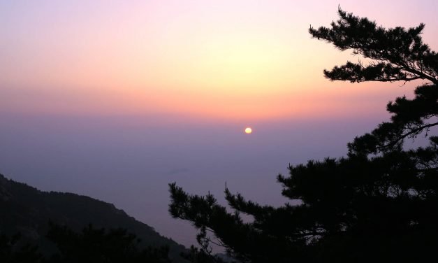 青岛行